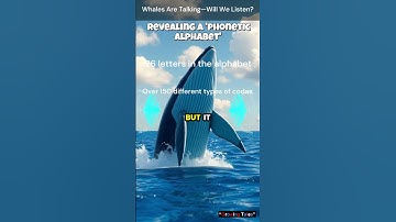 "AI Decodes Whale Language: A Conversation with Sperm Whales!"