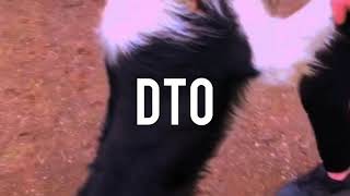 Rolling Downhill in a tractor tire screenshot 5