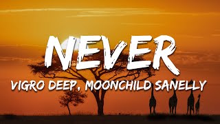 Vigro Deep, Moonchild Sanelly, Mellow & Sleazy & Djy Biza - Never (Lyrics)