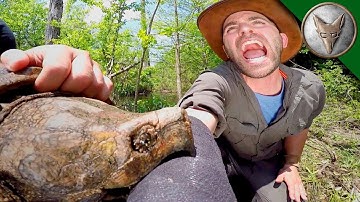Brave Wilderness | CRAZY Alligator Snapping Turtle Bite!