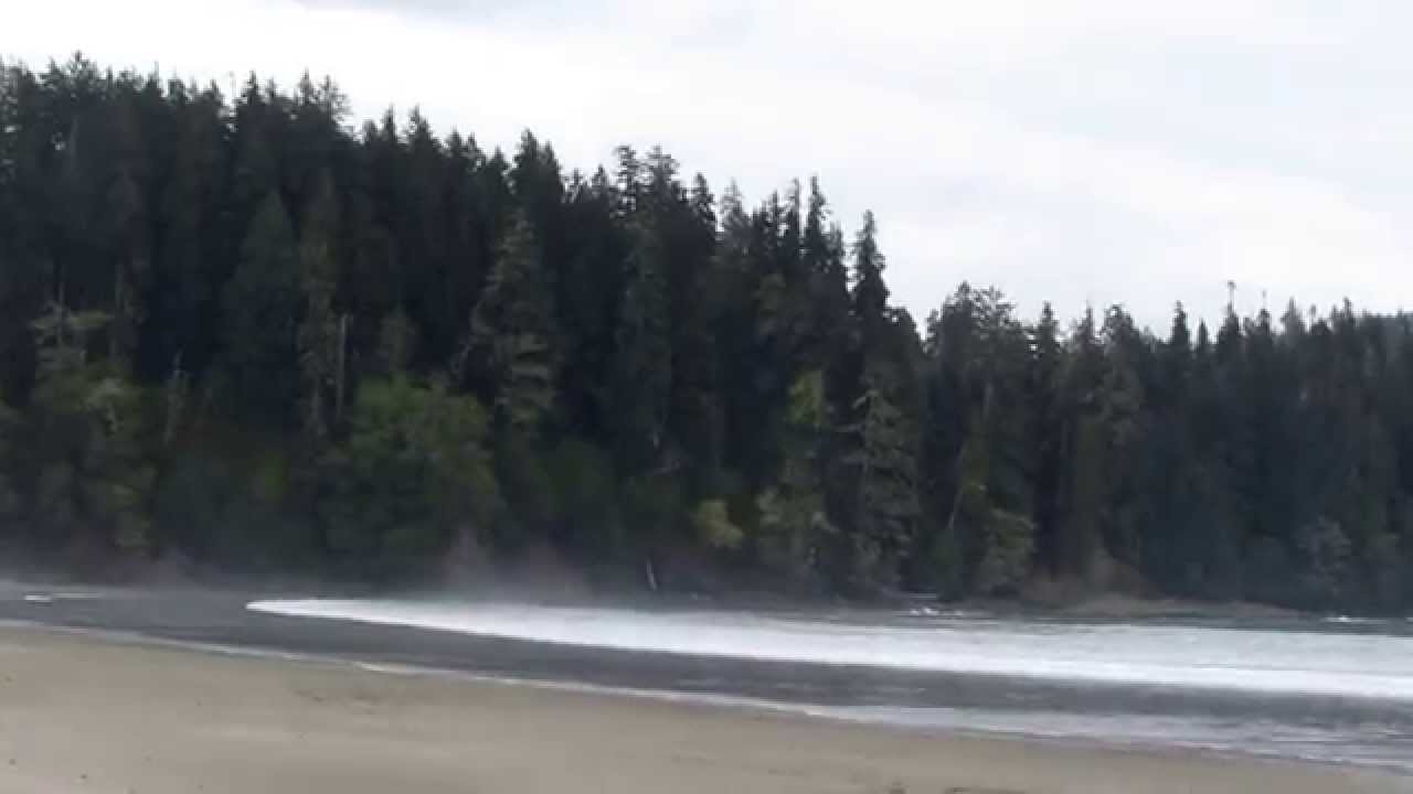 Pachena Bay, on the west coast of Vancouver Island. YouTube Pachena Bay, on the west coast of Vancouver Island. YouTube