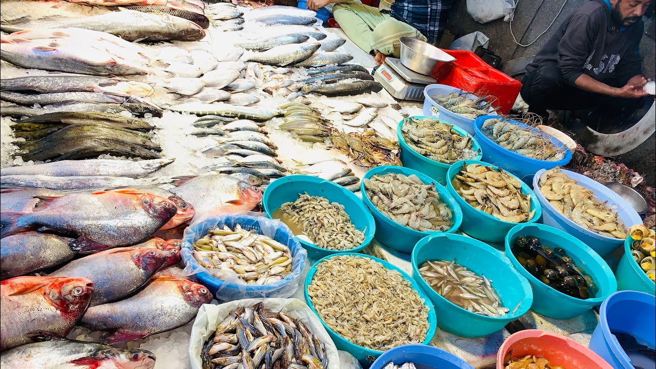 दिल्ली की सबसे सस्ती Fish Market ।Fish market in Delhi fish market kal