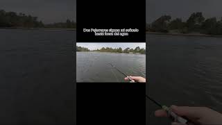 Los vieron? | Rio Bio Bio, Chile 🇨🇱