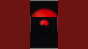 "Python Turtle Animation | Hypnotic Spiral Loop 🌀🔥"#python #coding #animation  #pythonart #shorts