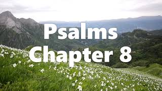 The Book of Psalms Chapter 8 - New King James Version (NKJV) - Audio Bible