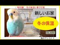 【 特別編：冬の保温と寒さ対策 】 インコの冬の保温  / インコの寒さ対策 / インコのお家 / おしゃべりインコ / 優しい犬  /犬とインコ / ほんわか / のんびり / 田舎暮らし