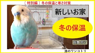 【 特別編：冬の保温と寒さ対策 】 インコの冬の保温  / インコの寒さ対策 / インコのお家 / おしゃべりインコ / 優しい犬  /犬とインコ / ほんわか / のんびり / 田舎暮らし