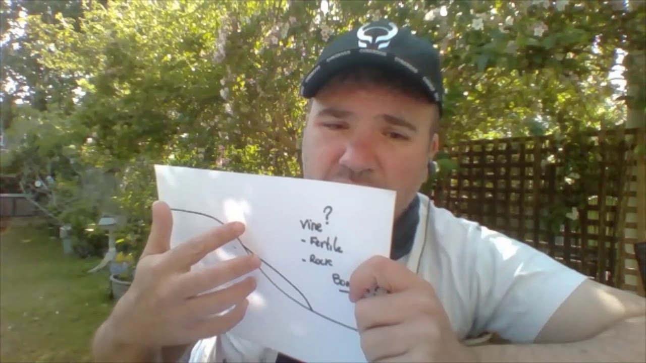 Best Vineyard Location in the world - Wine Micro Climate -