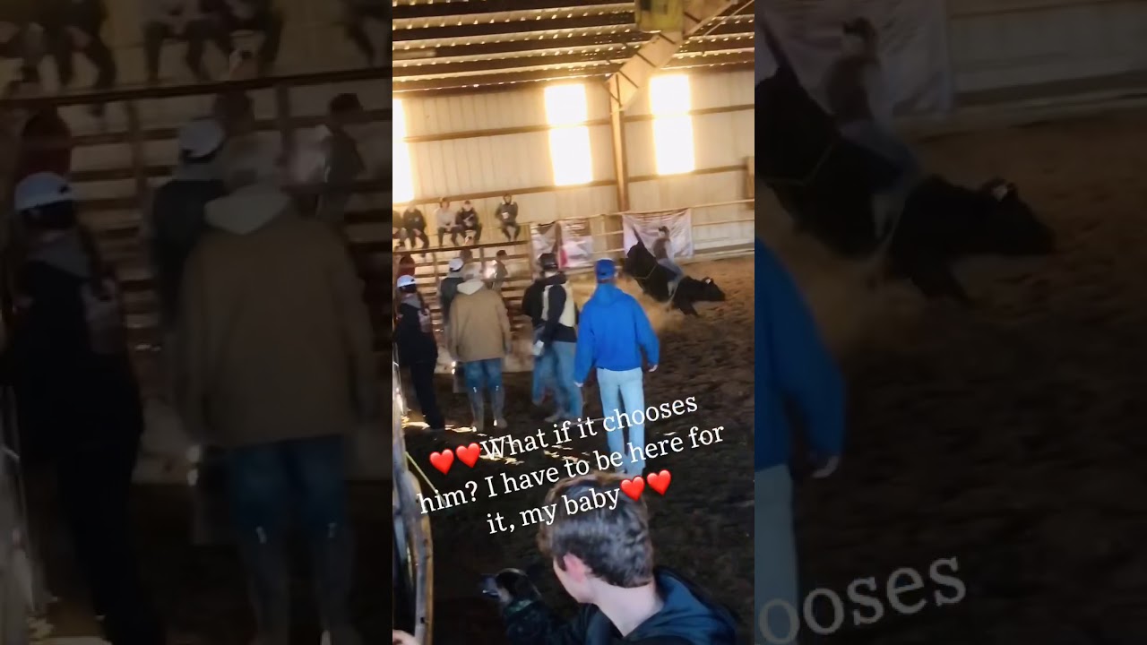 🔥TrindynRo 1/31/21 Bull riding Terry Don West arena