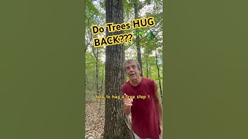 Unlock The Power Of Tree-hugging: Nature