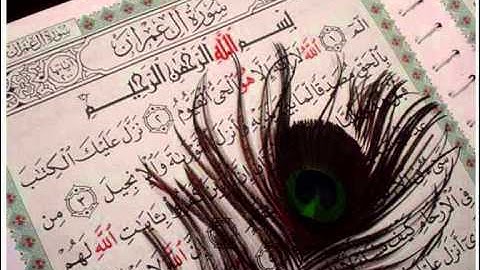 تلاوة الشيخ سلطان الروكان من آخر سورة آل عمران .