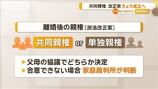 共同親権改正案　きょう成立へ【知っておきたい！】【グッド！モーニング】(2024年5月17日)