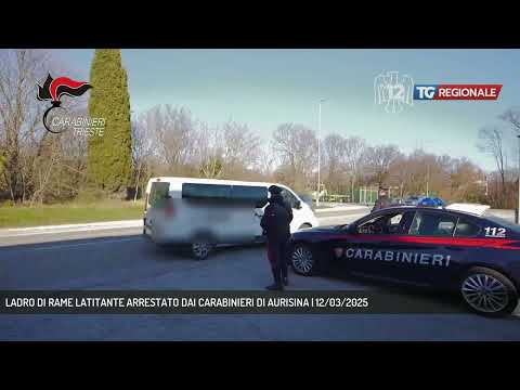LADRO DI RAME LATITANTE ARRESTATO DAI CARABINIERI DI AURISINA | 12/03/2025