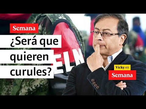 "Debería levantarse el Gobierno Petro de la mesa de diálogo con el ELN" | Vicky en Semana
