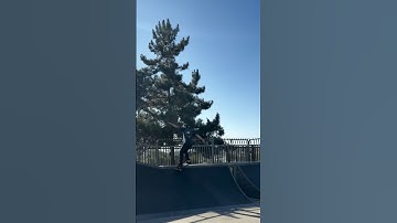 Dave Bachinsky unique mini ramp combo!