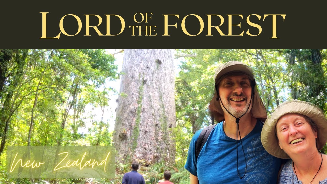 Quest to find Lord of the forest Tāne Mahuta | New Zealand Travel