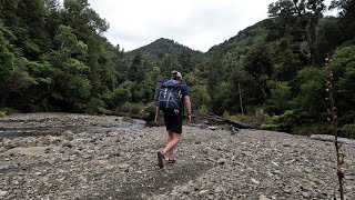 3 Days Hiking the Koranga Tawa Loop Track, Waioeka Conservation Area