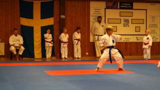 Kata . Edvin Taikyoku shodan  Casper Tekki shodan