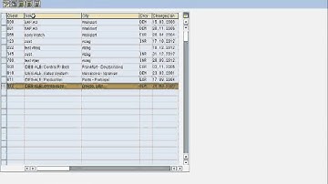 How to enable CATT in a client, SAP_