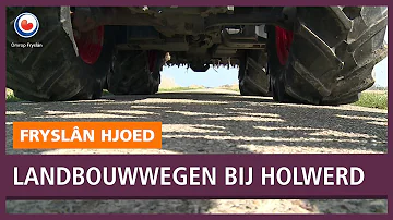 REPO: Landbouwweggetjes bij Holwerd zouden aangepakt moeten worden