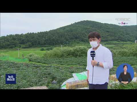 광양 첫 관광단지... 녹지보호 대책은? - R (200722수/뉴스데스크)