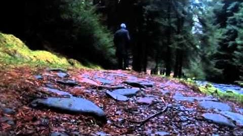 Chronotope, A Short Film by Rod Salo