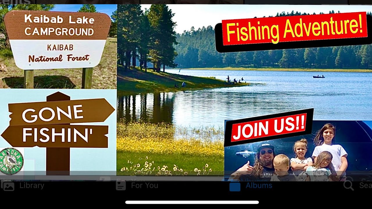 LSSC Stuns the Web: Hidden Features That Will Shock You