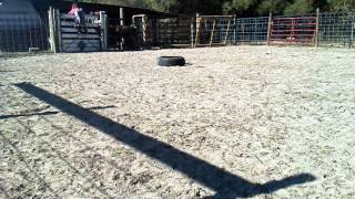 Bull Riding Practice Pen 4/2/13
