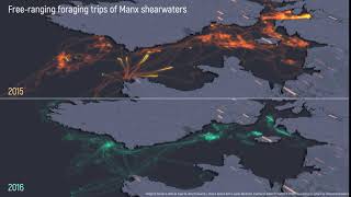 #30DayMapChallenge: Day 12 Movement