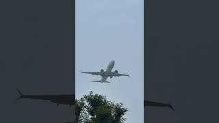 Singapore Airlines SQ537 Star Alliance Livery Landing at Changi (SIN) | Boeing 737 MAX 8 #boeing737