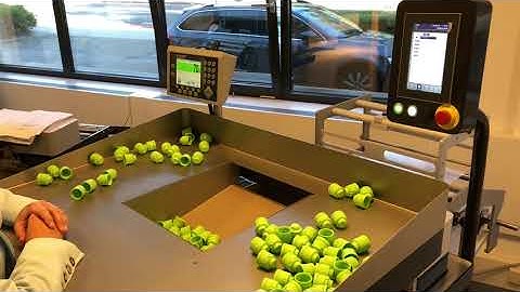 Audion Elektro Speedpack Hyrbid counting and weighing solution , Optiweigher with colour code screen