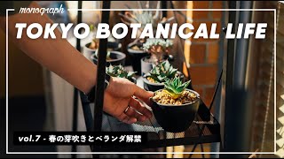 TOKYO BOTANICAL LIFE - vol.7 春の芽吹きと、ベランダ解禁。