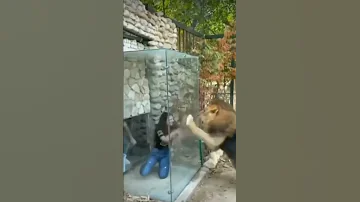 헐 미쳤다 