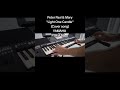 Yamaha PSR-A3000 Plays: Peter Paul &amp; Mary | Light One Candle - (Hannukkah song) - by David Hormadaly