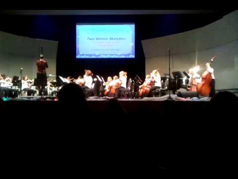 Beech Springs Intermediate 5th grade orchestra