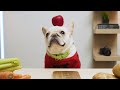 Fruits that are healthy to your French Bulldogs