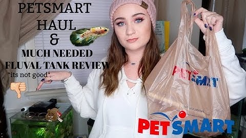 MINI PETSMART HAUL & FLUVAL CHI BETTA TANK REVIEW *its not good*  | ItsAnnaLouise