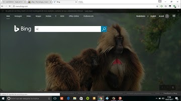 Bypass Login Portal Wifi