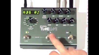 Strymon Timeline with Lead Amp Sound