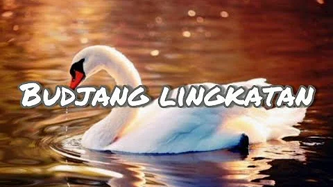 Budjang Lingkatan | Lyrics (Badjau Song)