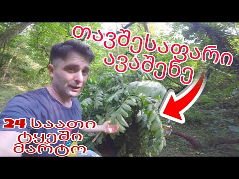 ვათენებ მთელ ღამეს მარტო ტყეში／ მაინქრაფტი რეალურ ცხოვრებაში #challange