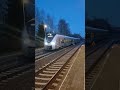 Einfahrt RB30 nach Zwickau (Sachs.) Hbf in St. Egidien