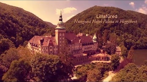 Thumbnail of My Homeland