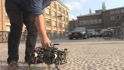 Oncilla Quadruped Robot from Ghent University