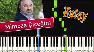 Mimoza Çiçeğim - Kolay Piyano - Nasıl Çalınır Resimi