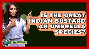 Is The Great Indian Bustard An Umbrella Species? - Earth Science Answers