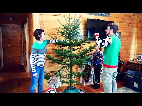 watch-this-before-you-buy-a-christmas-tree-|-our-charlie-brown-christmas-tree-on-the-homestead