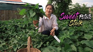 Sweet Potato Stalk Recipe / Nutritious Vegetable Soup / Prepare By Countryside Life TV