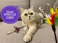 Самые опасные игрушки для кошки #кот #кошка #смешныекоты