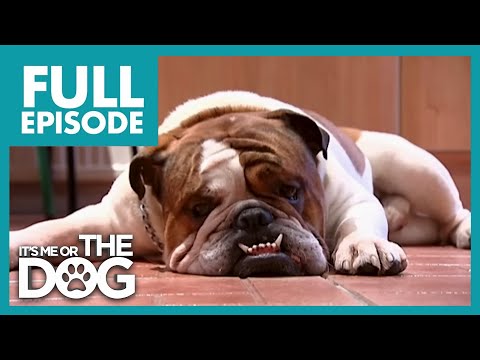 Virtual yorqin qiz quyoshli leone porno film onlayn